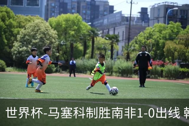 世界杯-马塞科制胜南非1-0出线 韩国积3分获小组第三待定