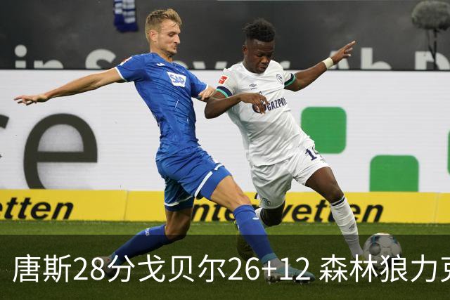 唐斯28分戈贝尔26+12 森林狼力克黄蜂4连胜